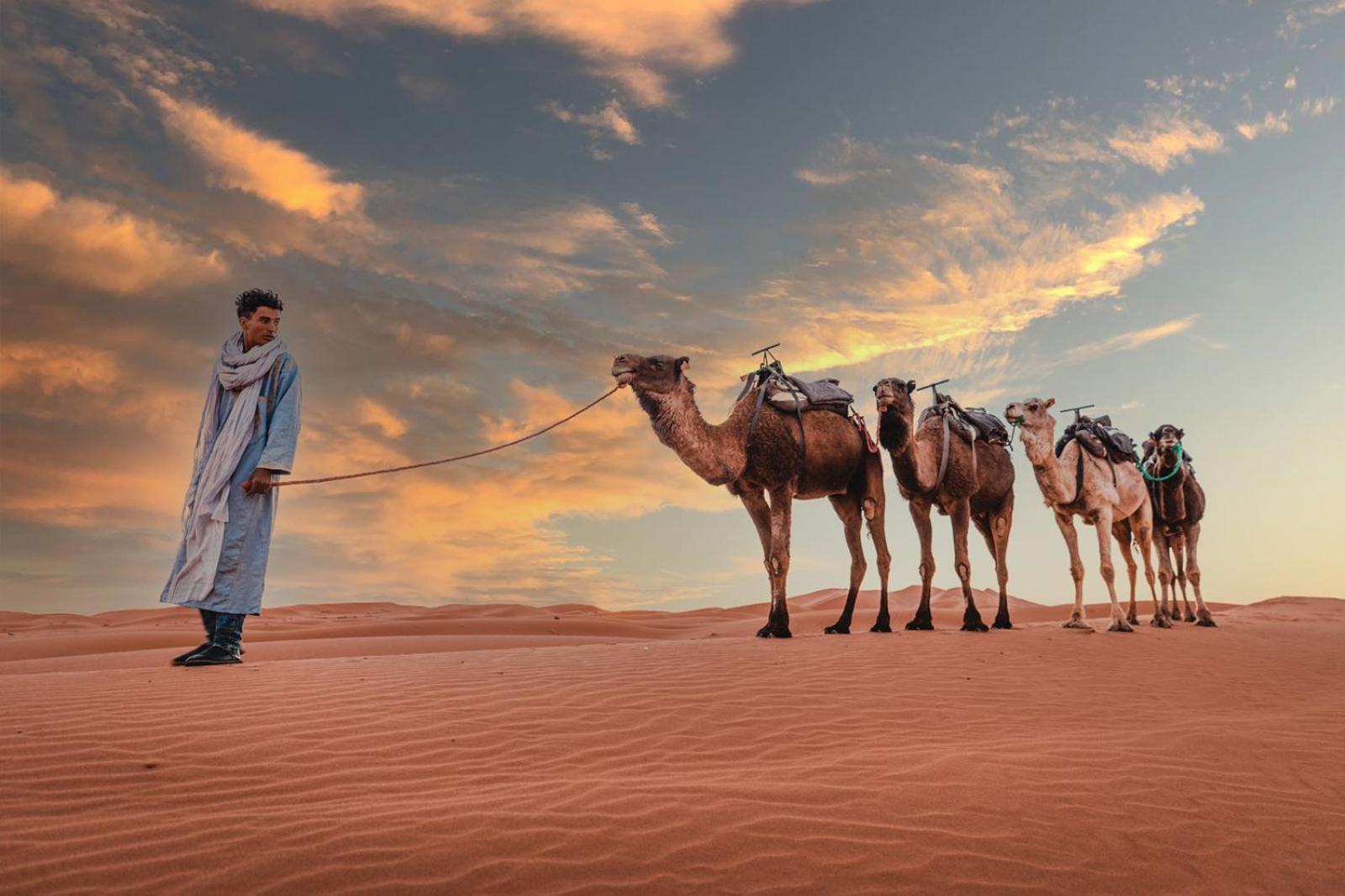 Caravanserai Luxury Desert Tented Camp Мерцуга Екстериор снимка